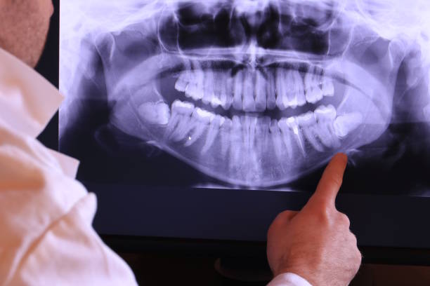 Best Emergency X-Rays and Diagnostics in Kane, PA